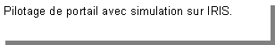 Zone de Texte: Pilotage de portail avec simulation sur IRIS. 