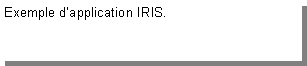 Zone de Texte: Exemple d�application IRIS.